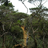 Above the rainforest and into more dry and comfortable suroundings