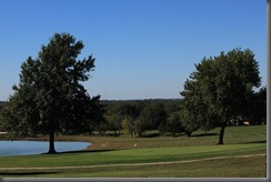 IMG_0021 IMG_0021