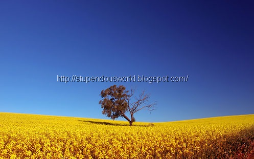 [Beautiful_Landscape[2].jpg]