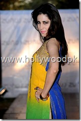 Pakistani hot model sabiha pasha. tv actress.  (13)