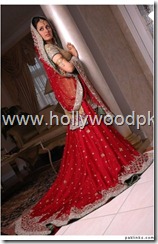 pakistani bridial dresses lehnga choli poshak. mehendi design . pakistani gewellery. indian bride (2)