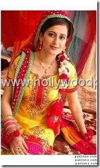 pakistani bridial dresses lehnga choli poshak. mehendi design . pakistani gewellery. indian bride (3)