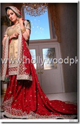 pakistani bridial dresses lehnga choli poshak. mehendi design . pakistani gewellery. indian bride (4)