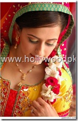 pakistani bridial dresses lehnga choli poshak. mehendi design . pakistani gewellery. indian bride (6)