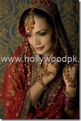 pakistani bridial dresses lehnga choli poshak. mehendi design . pakistani gewellery. indian bride (14)