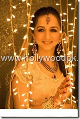 pakistani bridial dresses lehnga choli poshak. mehendi design . pakistani gewellery. indian bride (17)