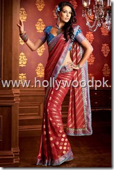 indian saari. pakistani saari. bangladeshi saari. pakistani fashion.. indian fashion. latest dresses (6)