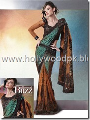 indian saari. pakistani saari. bangladeshi saari. pakistani fashion.. indian fashion. latest dresses (78)