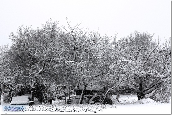 Ice Wide Shot