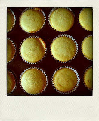 Cupcake à la vanille fraîchement sortis du four