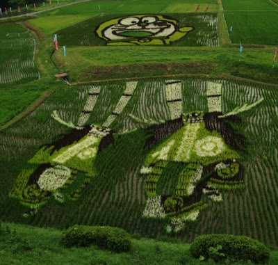 日本夏季稻田艺术又来了2009 版 http://jandan.net/