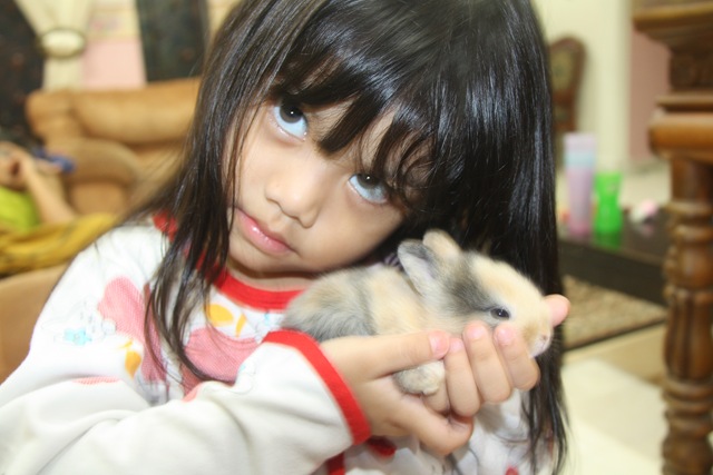 [Baby rabbit 10.11.2010 009[2].jpg]