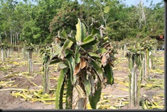 IMG_4576 IMG_4576