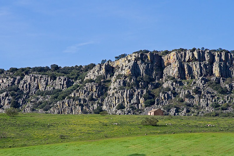 02042010-cervera3