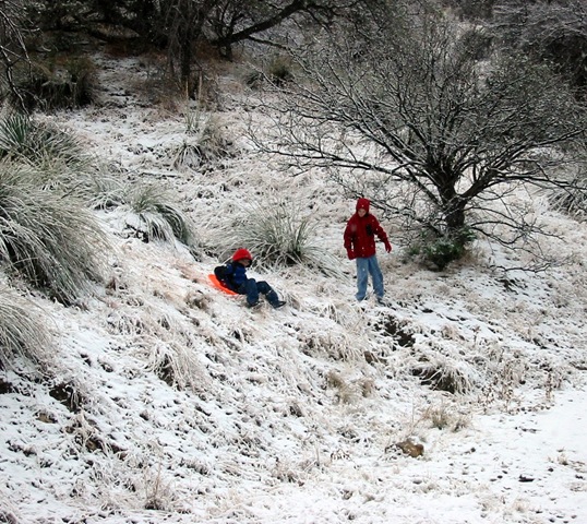 Grandson,s at play