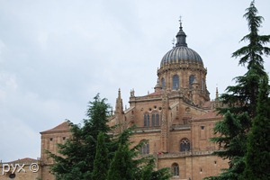 salamanca - catedral