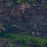 The best climbers in the animal world