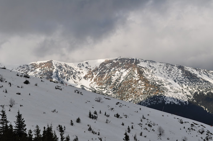DSC_0400.JPG