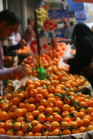 [IMG_342513.jpg]