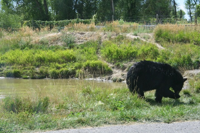 [IMG_668113.jpg]