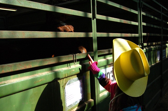 [rodeo2[3].jpg]