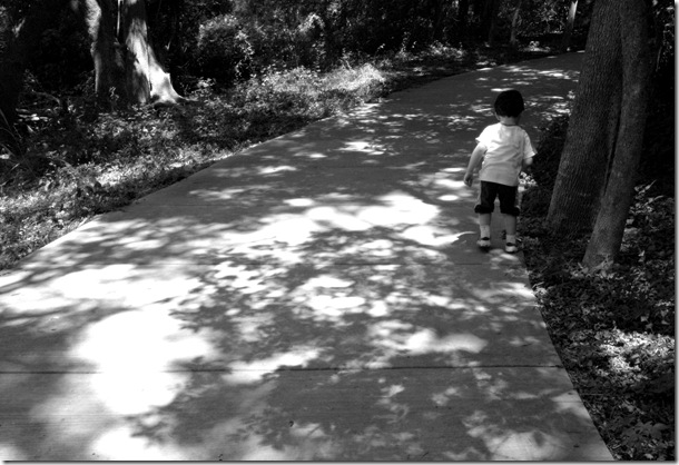 naturewalk