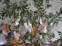 kadina pincama 072.JPG