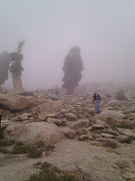 IMG_20100922_123304.jpg Photo