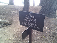 IMG_20100922_100612.jpg Photo
