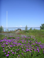 blommor.jpg