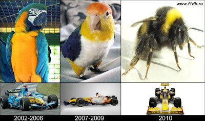 Renault 2002-2006 2007-2009 2010 пчелка попугаи