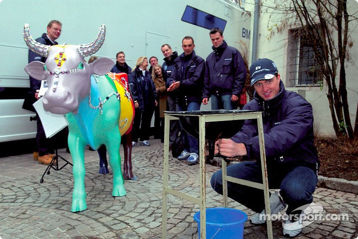 Ральф Шумахер доит корову