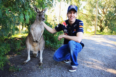 фото Себастьян Феттель и кенгуру на Гран-при Австралии 2011