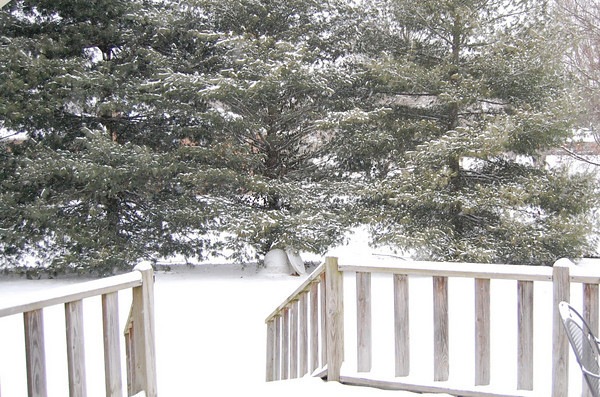 [snow[5].jpg]