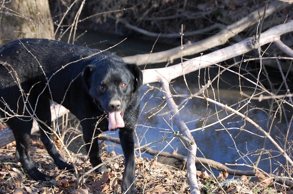 [ivy smiling[5].jpg]