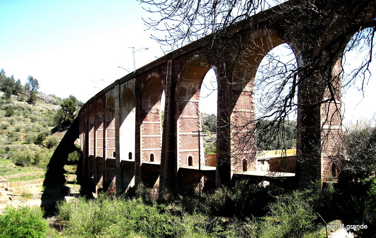 20100411_RAR%20IX_290B.JPG