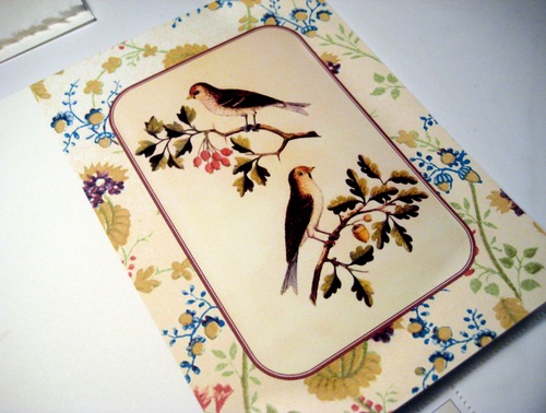[bird greeting card[3].jpg]
