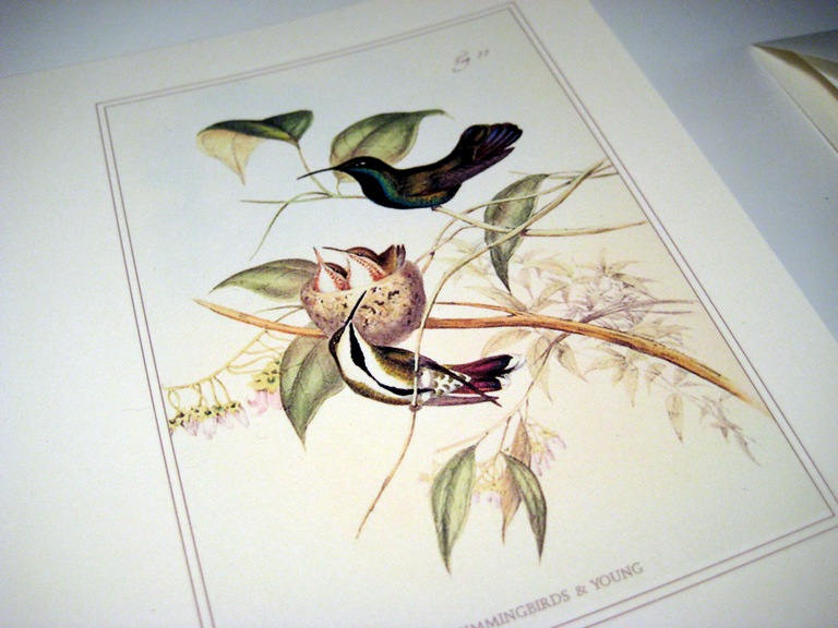 [Hummingbird greeting card[2].jpg]