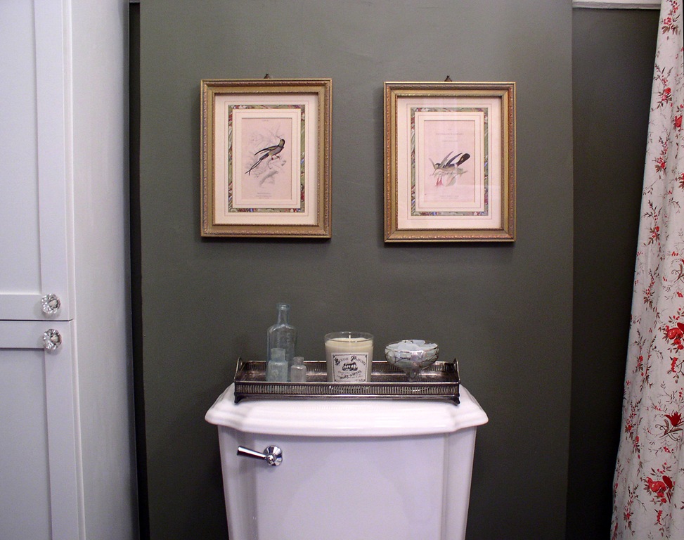 [Over toilet[2].jpg]