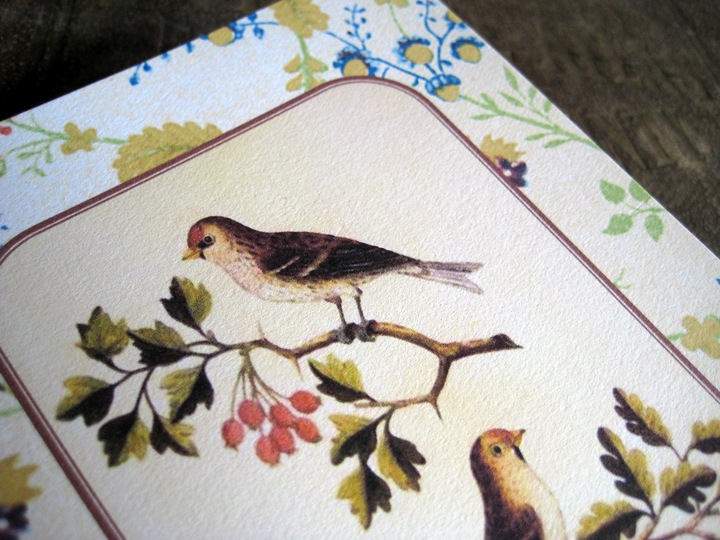 [Birds & Acorns detail[4].jpg]