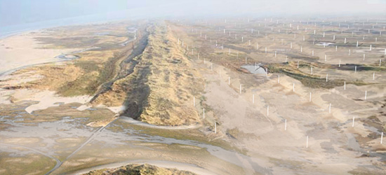 Rietveld Landscape