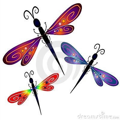 [dragonfly[3].jpg]