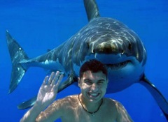 1291623228_shark