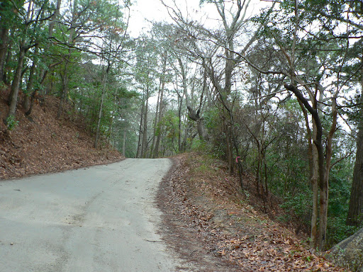 Nags Head Woods 5K