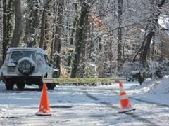 [IMG_10823.jpg]