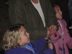 IMG_0523 IMG_0523