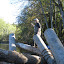Coleman Byrnes standing on top of a log jam.