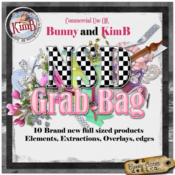 [kb-BC-NSD_bag[2].jpg]