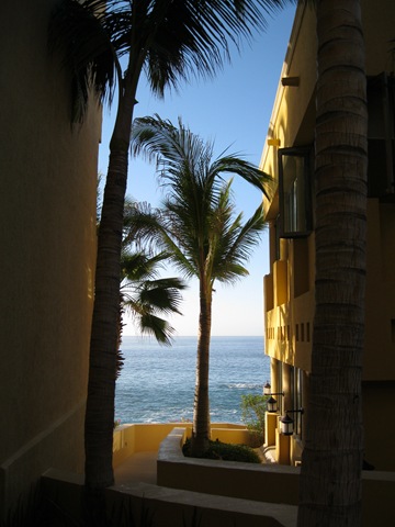 [Cabo San Lucas 073[2].jpg]