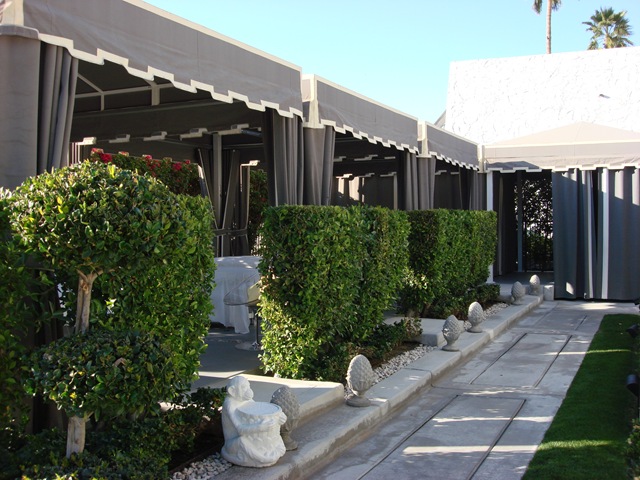 [PalmSprings31273.jpg]